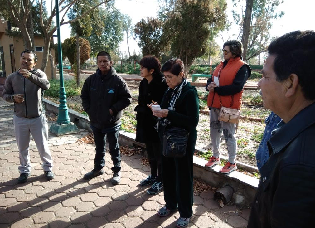 Retomó Parques y Jardines cursos de poda de árboles Omnia