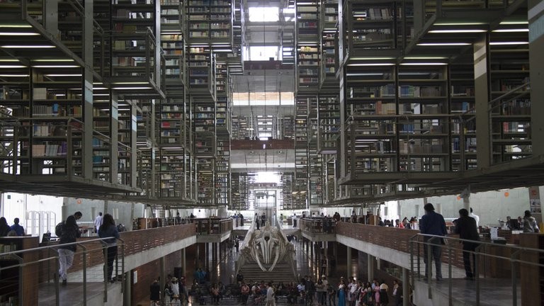 CDMX: libraries, archives and art galleries will reopen tomorrow