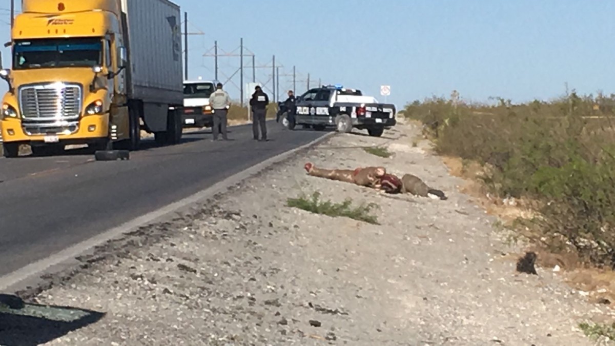 Localizan tres cuerpos sin vida en la carretera a Casas Grandes | Omnia