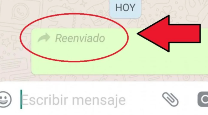 Whatsapp Cómo Enviar Un Mensaje Sin Que Aparezca La Palabra “reenviado” Omnia 4498