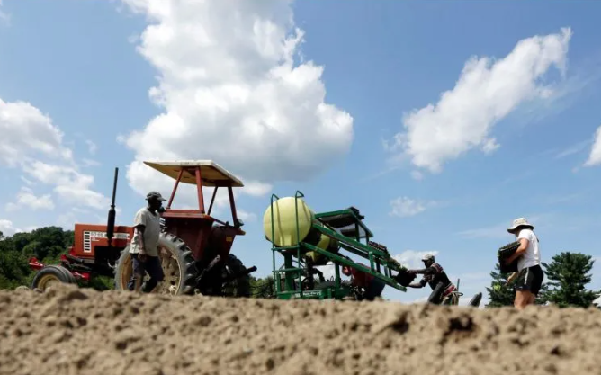 Casi 40 Detenidos En Portugal Por Trata De Personas En Campos Agrícolas Omnia 8368