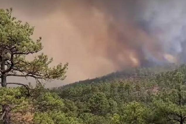 Informa Conafor Sobre La Situación De Incendios Forestales En Chihuahua Omnia 0482