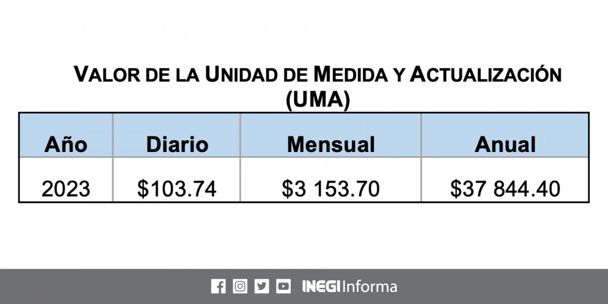 El Inegi Da A Conocer Los Valores De La Unidad De Medida Y Actualización Uma Omnia