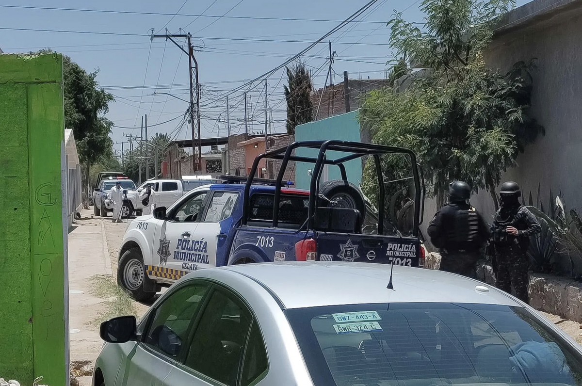 Hay Un Detenido Por Asesinato De Madre Buscadora Teresa Magueyal Omnia 7422