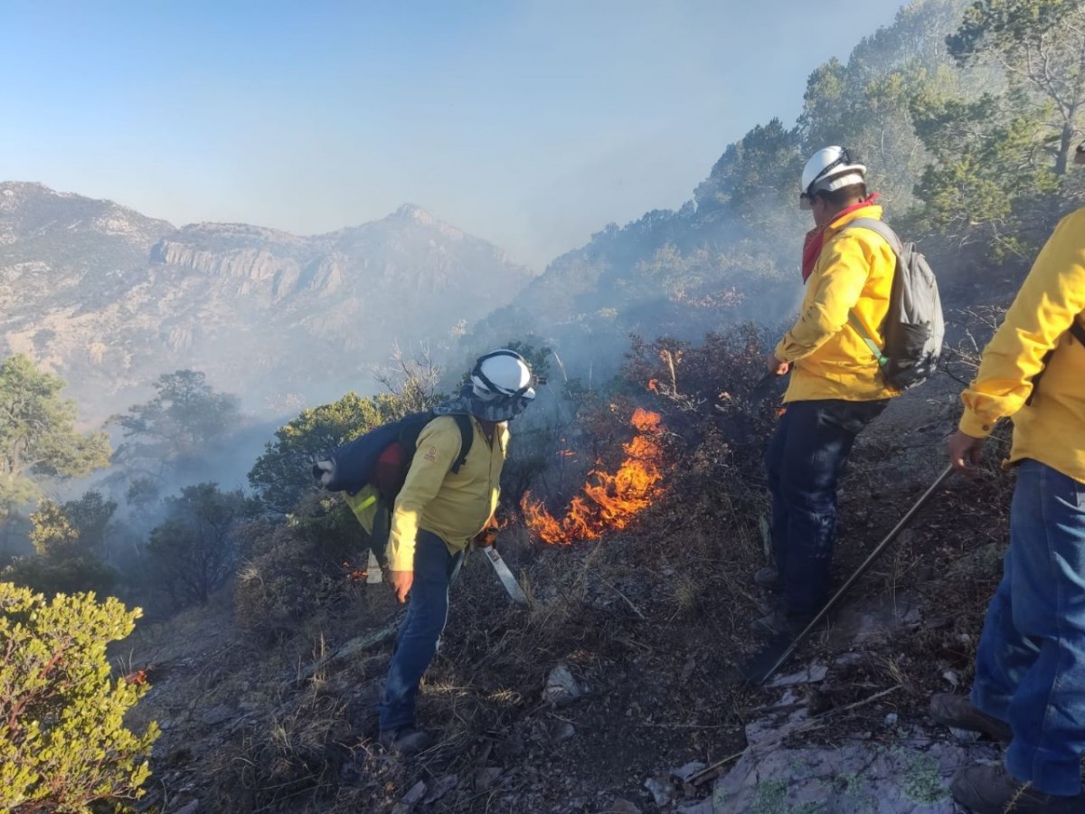 Reportan Incendios Activos En Chihuahua Omnia 5246