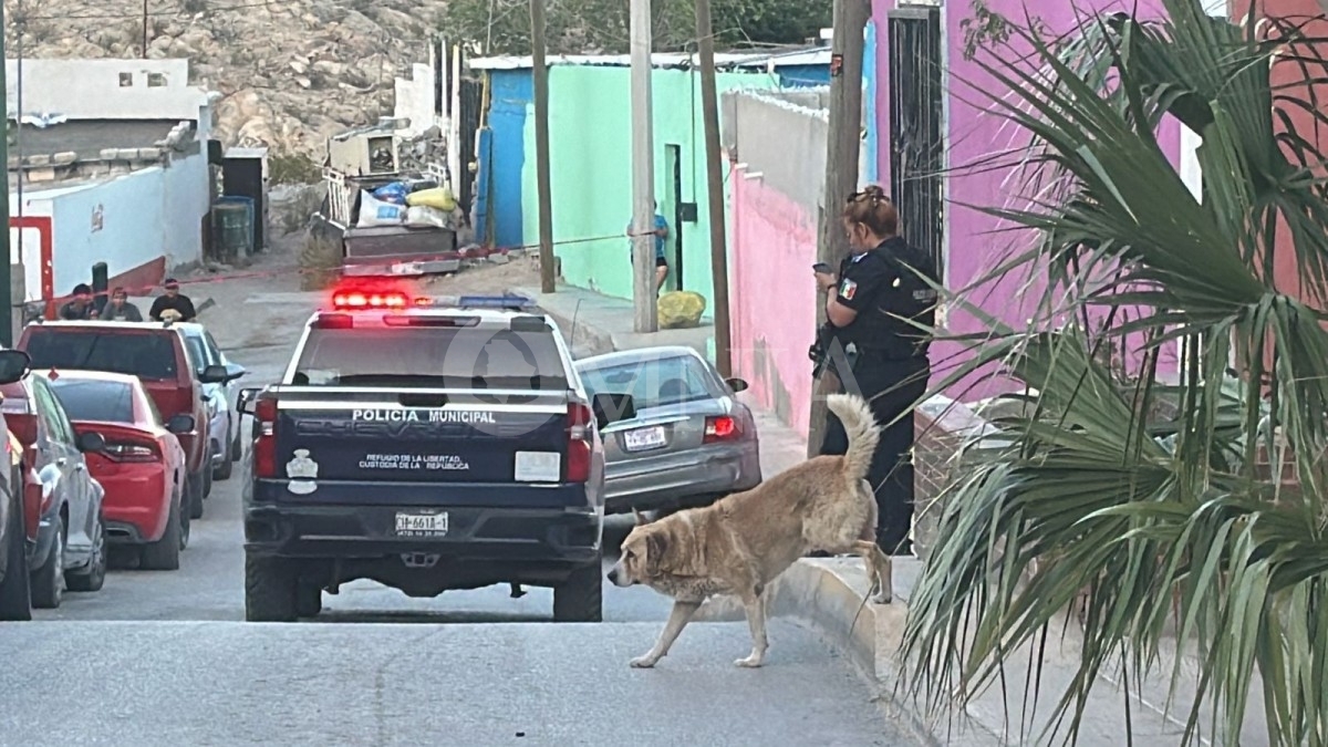 Asesinan A Hombre En La Felipe Ángeles Omnia 9656