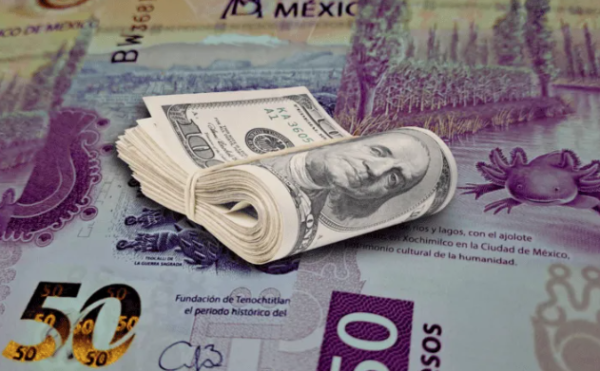 Peso sufre desplome frente al dólar al arranque de la jornada