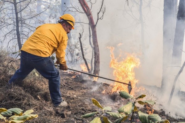 Latente el riesgo de incendios forestales por falta de humedad: SDR