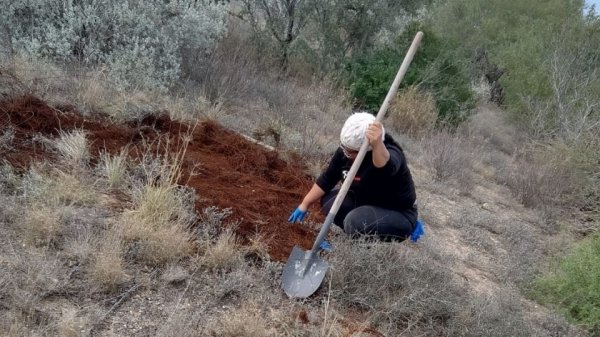 Hallan restos humanos calcinados en al menos cuatro puntos de un parque eólico en Reynosa