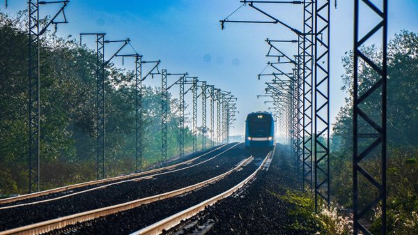 Activistas denuncian a Sedena ante Profepa por contrato de control de fauna en el Tren Maya