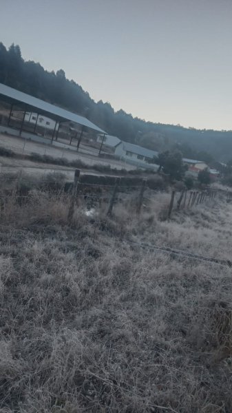 Ocasiona masa de aire polar temperaturas gélidas en gran parte del estado