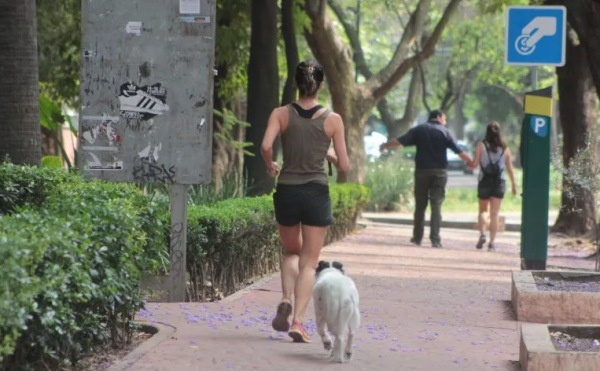 Esta es la ciudad más segura para vivir en México, según una encuesta del INEGI