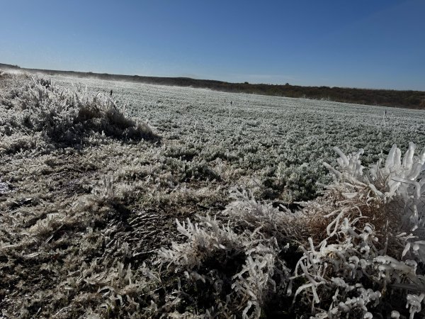 Registró Majalca -6.9°C, temperatura más baja del estado: CEPC