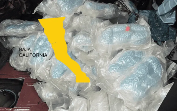 Decomisan en Baja California 139 kilos de droga; 62 son de fentanilo