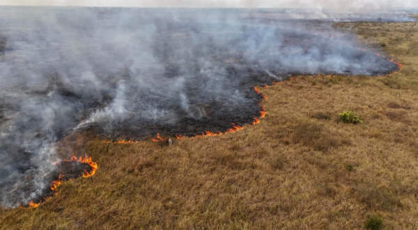 OMS alerta: “El clima extremo ya nos está enfermando’”