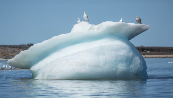 El iceberg más grande del mundo, 2 veces el tamaño de Londres, está a la deriva en el Antártico, alertan