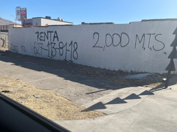 Exhiben a propietario de baldío por dar pésima imagen de la ciudad