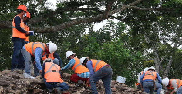 Cuestiona Greenpeace al Tren Maya