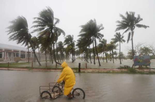 Huracán Milton causó pérdidas de 190 millones de dólares en la agricultura de Florida