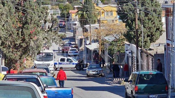 Muere niño de 4 años tras ataque de perros Mastín Tibetano