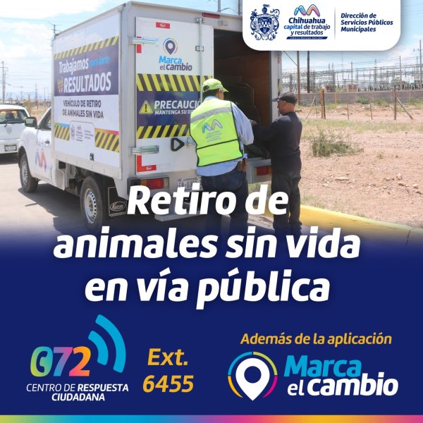 Ofrece Gobierno Municipal servicio de retiro de animales sin vida en la vía pública