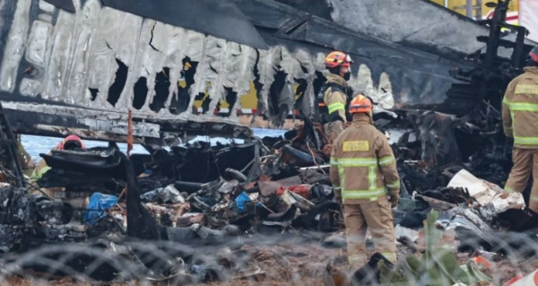 Cuestionan a las autoridades de Corea del Sur por plantear el impacto de un pájaro como posible causa del accidente del avión que dejó 179 muertos