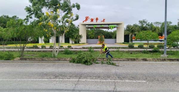 El huracán “Beryl” dejó 133 incidentes de afectaciones en carreteras del país; 47 ya fueron atendidos por cuadrillas de la SICT