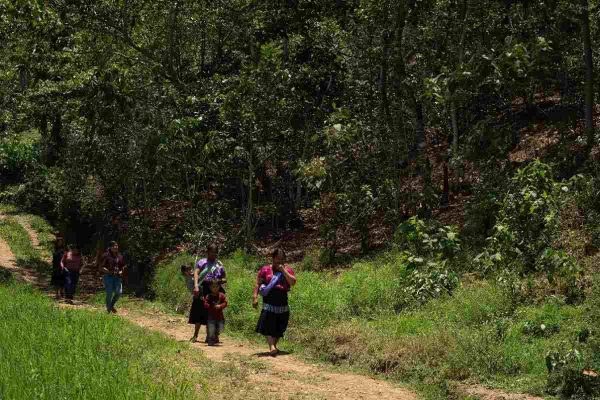 Matan a seis integrantes de una familia en Pantelhó, Chiapas; hay cuatro menores entre las víctimas