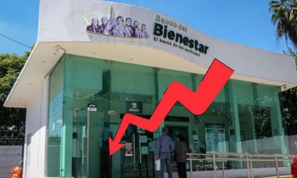 Ganancias del Banco del Bienestar se desploman; caen un 80%