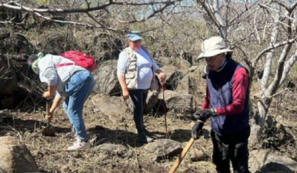 Reportan 225 defensores de la tierra y los derechos humanos asesinados en México