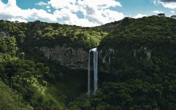 Descubren una civilización perdida que estaba oculta en el Amazonas