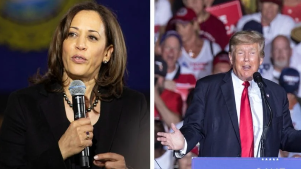 Voces en una nación divida: las celebridades que apoyan a Trump y Harris