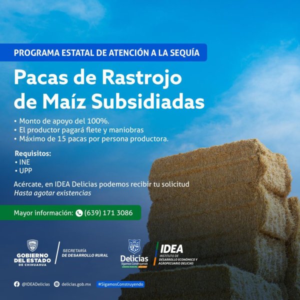 Lanzan programa de pacas subsidiadas al 100% para mitigar efectos de la sequía: IDEA