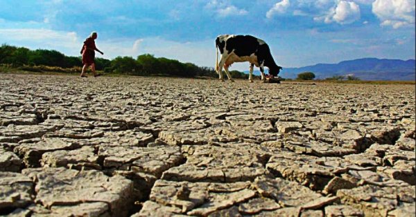 Oficial: declaratoria de emergencia por sequía para los 67 municipios de Chihuahua