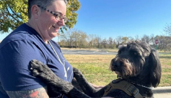 Veteranos de guerra con estrés postraumático mejoran gracias al programa de perros de asistencia