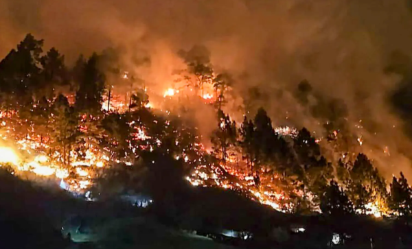 Un conato de incendio forestal obliga a evacuar a unas 200 personas en El Paso (La Palma)