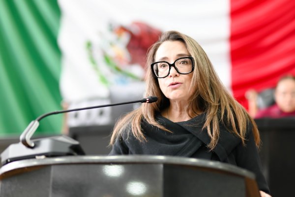 Urge retomar Comisión de Diálogo con Organizaciones de la Sociedad Civil: Leticia Ortega