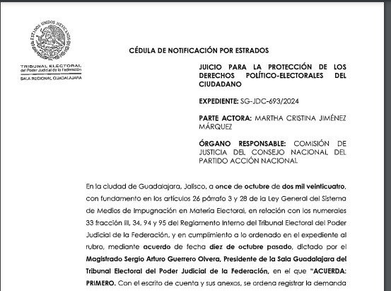 Pidió Cristina Jiménez ante TEPJF,  protección de sus derechos políticos y electorales por decisión del PAN