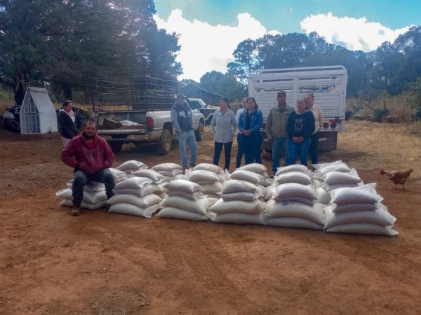 Fortalecen seguridad alimentaria de 40 familias de comunidades indígenas en Madera