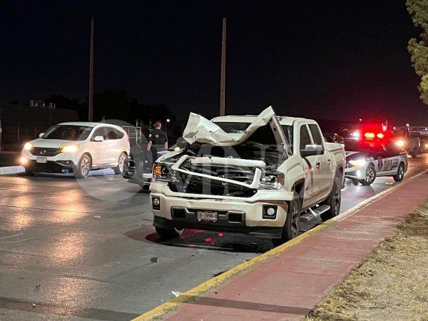 Chocan contra caballo en la vialidad Sacramento