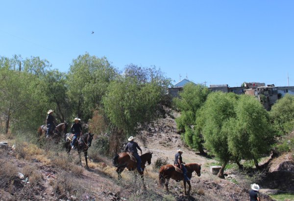 Caballos policía apoyan en el patrullaje de zonas rurales y de difícil acceso