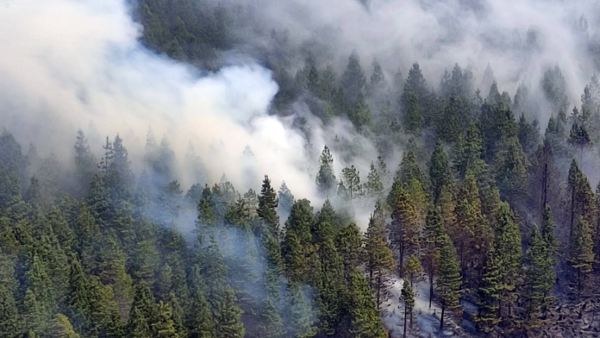 Ecuador declara emergencia nacional por incendios, déficit hídrico y sequía