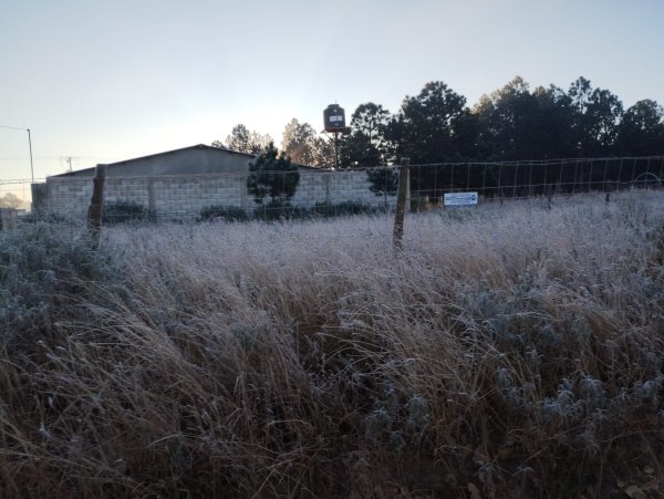 Amaneció El Vergel a -9°C, temperatura más baja del estado