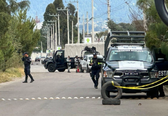 Aseguran 27 animales exóticos en inmueble de “El Tigre”, miembro del Cártel de Sinaloa en el Edomex