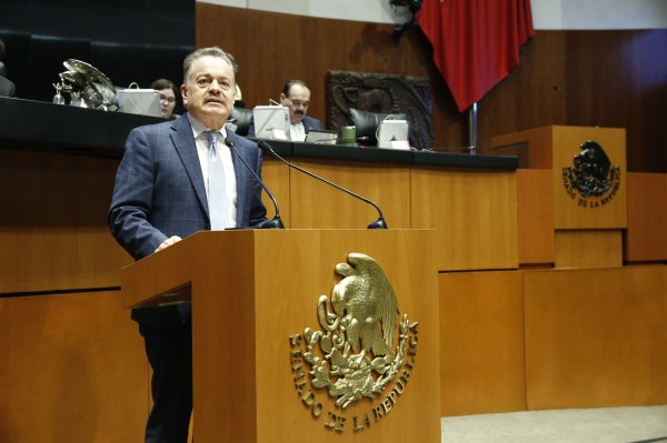 “Constitucional la prohibición del maltrato animal y educación para su protección”: Mario Vázquez sobre reforma