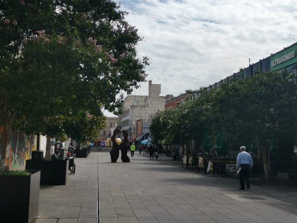 Lunes, máxima de 24 grados centígrados