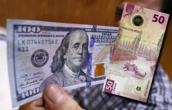 El peso da un revés a un dólar debilitado; así cotiza este lunes 25