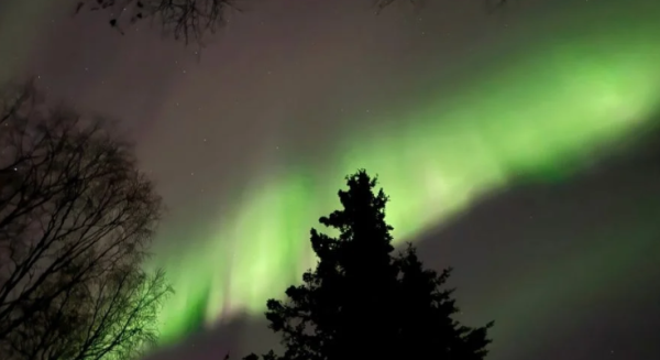 Auroras boreales tenues serán visibles en el norte de Estados Unidos este Acción de Gracias