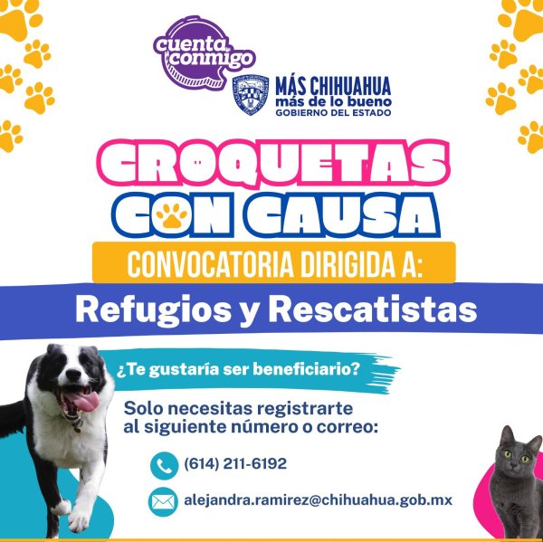 Convocan a refugios y rescatistas de mascotas a participar en “Croquetas con Causa”