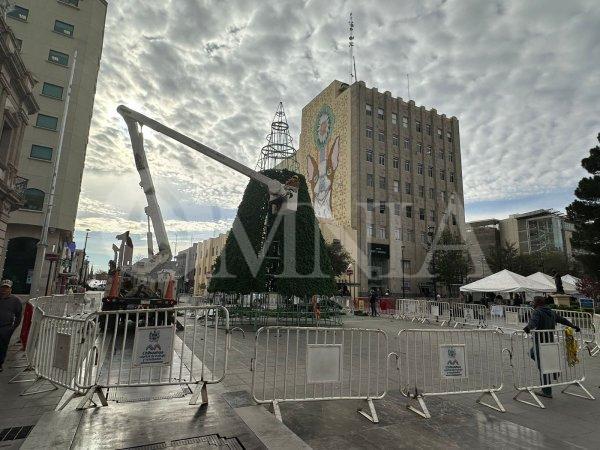 Comienza instalación del árbol navideño en la Plaza de Armas